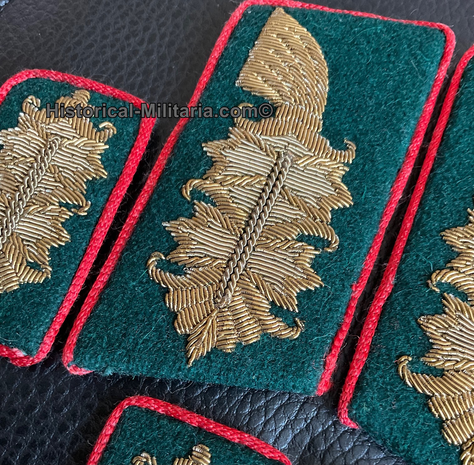 Wehrmachtsbeamte im Generalsrang Kragenspiegel + Ärmelpatten SET - German Army Administrative collar tabs and cuff tabs - Set di Mostrine da Generale dell'amministrazione esercito tedesco Heer Wehrmachtsbeamte im Generalsrang Kragenspiegel + Ärmelpatten SET - German Army Administrative collar tabs and cuff tabs - Set di Mostrine da Generale dell'amministrazione esercito tedesco Heer