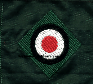cocgre057t-small.gif