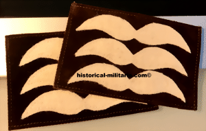 feldweb2t-small-2.gif feldweb2t-small-2.gif