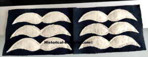 feldweb2t-small.gif feldweb2t-small.gif