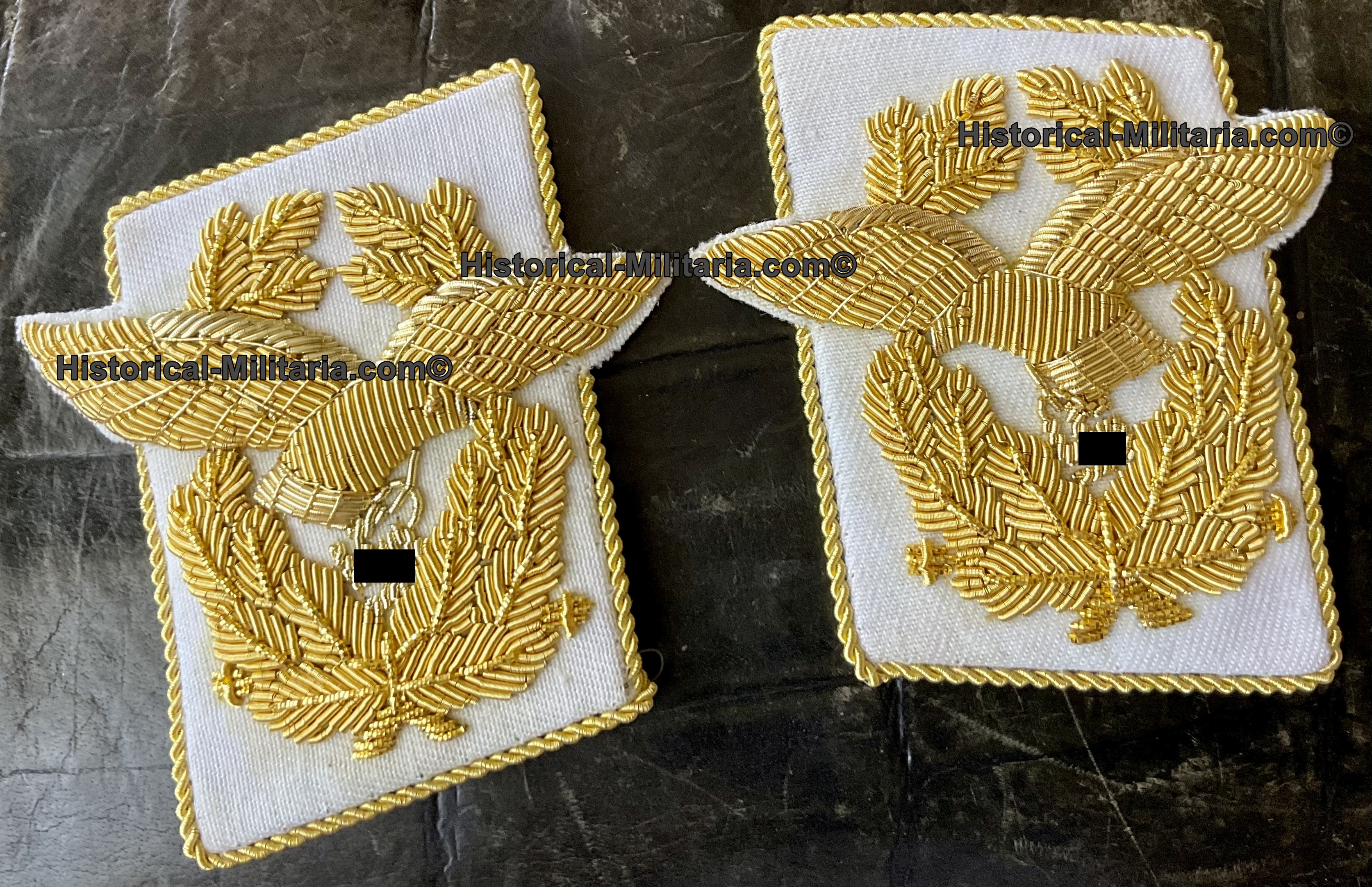 Luftwaffe Generaloberst Kragenspiegel - Luftwaffe General collar tabs Generaloberst - Mostrine da Corpo d'armata della Luftwaffe tedesca Generaloberst Luftwaffe Generaloberst Kragenspiegel - Luftwaffe General collar tabs Generaloberst - Mostrine da Corpo d'armata della Luftwaffe tedesca Generaloberst