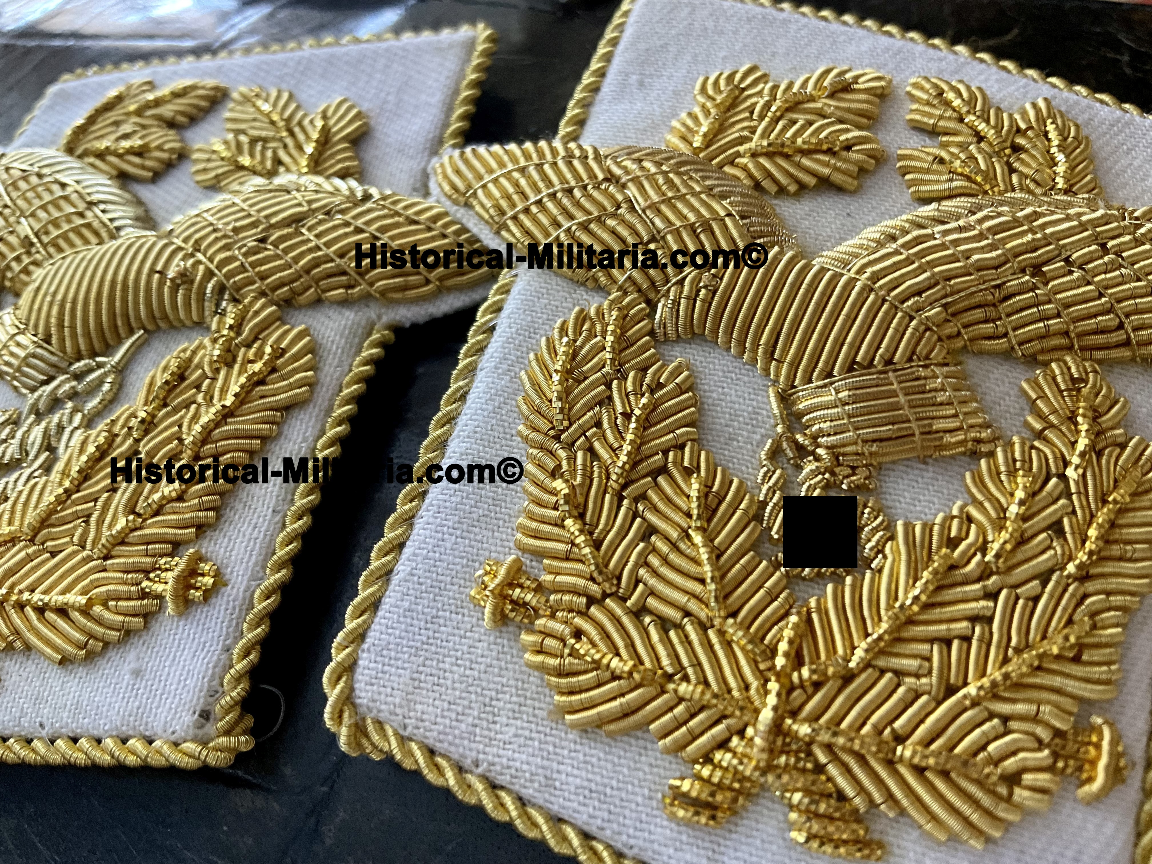Luftwaffe Generaloberst Kragenspiegel - Luftwaffe General collar tabs Generaloberst - Mostrine da Corpo d'armata della Luftwaffe tedesca Generaloberst Luftwaffe Generaloberst Kragenspiegel - Luftwaffe General collar tabs Generaloberst - Mostrine da Corpo d'armata della Luftwaffe tedesca Generaloberst
