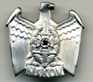 nskov475z-small.jpg