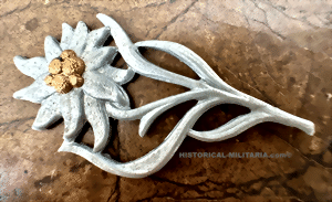 orgedet-small.gif