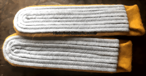 sewltflight-small.gif
