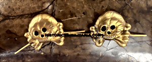 skullagt-small.gif
