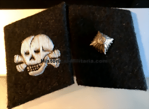 tk1pipt-small.gif tk1pipt-small.gif